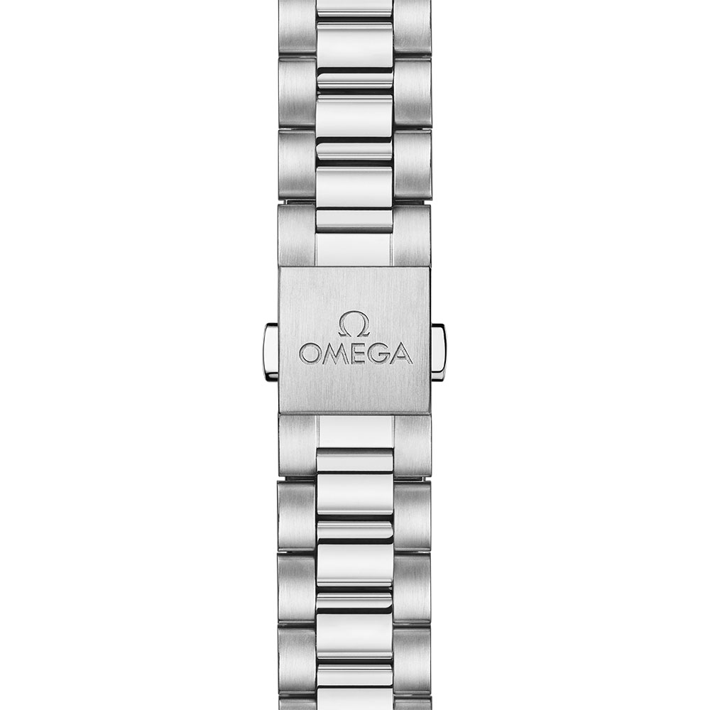 Omega Seamaster Railmaster 235.10.38.20.13.001