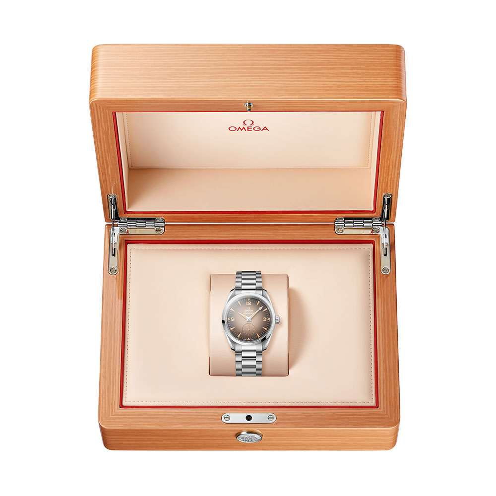 Omega Seamaster Railmaster 235.10.38.20.13.001